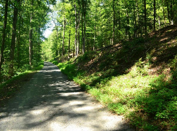 DAMON RD lot: 2, SCHUYLER, VA 22969