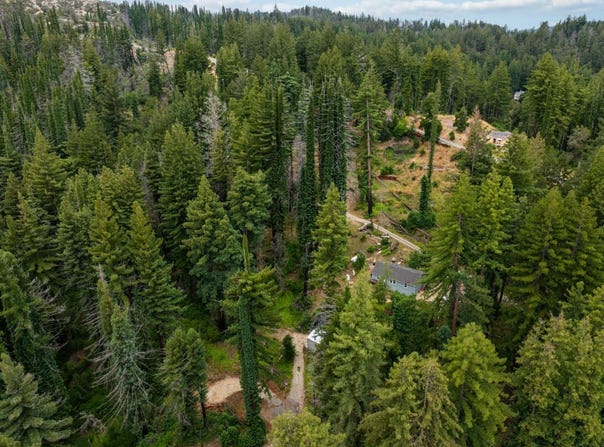 1131 Rambling RD, BOULDER CREEK, CA 95006