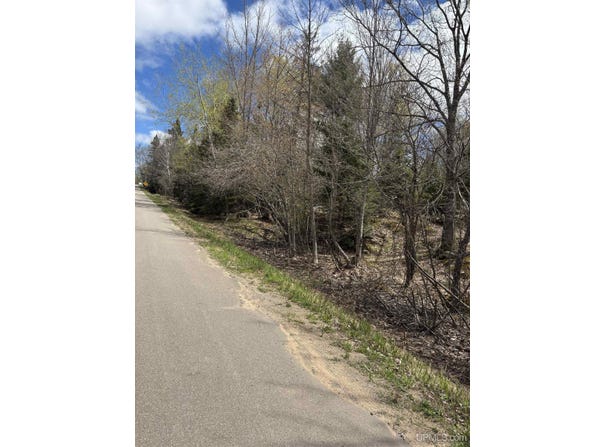 TBD AL COUNTY ROAD, CHAMPION, MI 49814