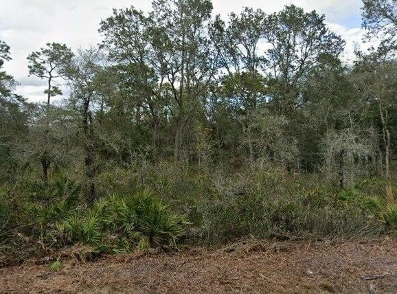 35023 PRIMROSE Lane, WEBSTER, FL 33597