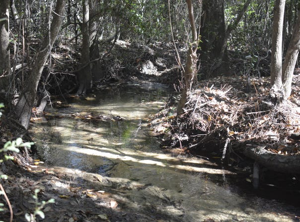 32 ACRES APLIN Road, Crestview, FL 32539