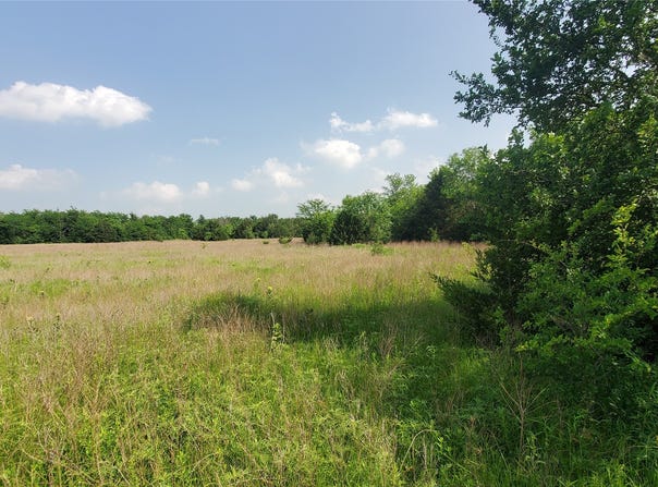 9999 Private Road lot: 1194, Celeste, TX 75423