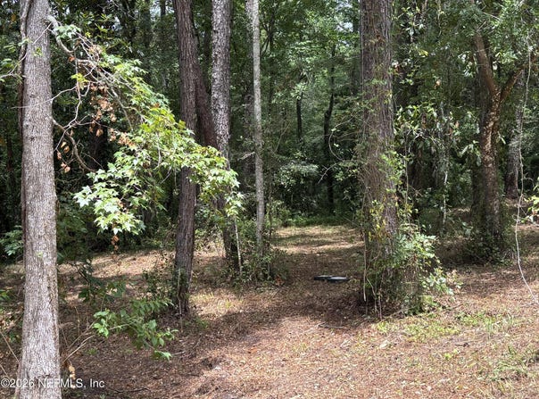 4819 GOPHER Circle, Middleburg, FL 32068