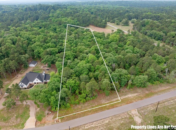 3121 Shadow Pine Drive, LaRue, TX 75770