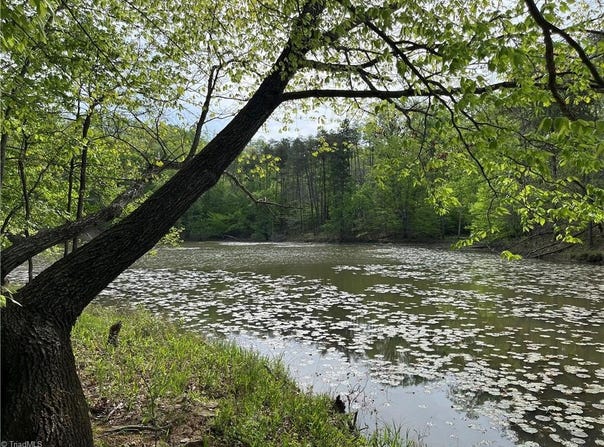 Sheets Trail, Germanton, NC 27019