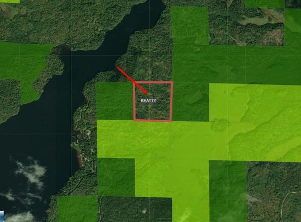 Kennedy Road, Cook, MN 55723