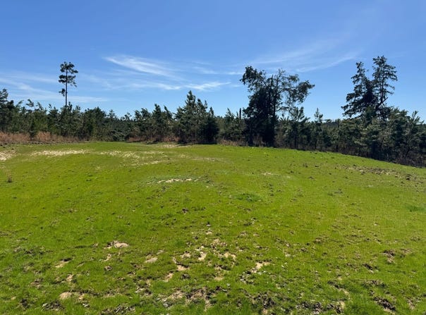 Duck Hill Ranch Road, Duck Hill, MS 38925