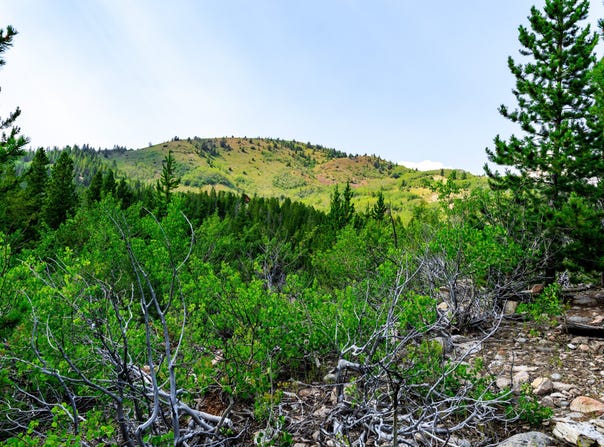 NHN Kathburn Trail lot: 15, Anaconda, MT 59711