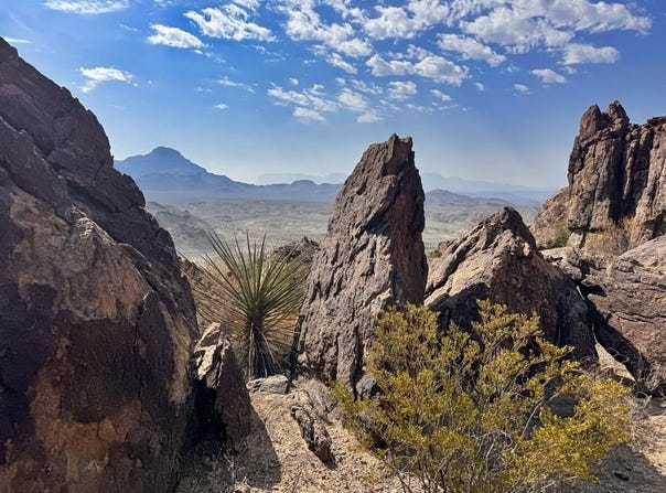 TR 174 Gate 2 Road, Terlingua, TX 79852