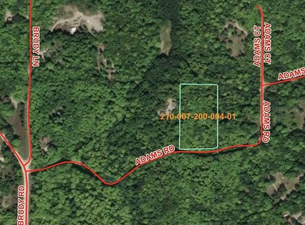 V/L Adams Road, Wolverine, MI 49799
