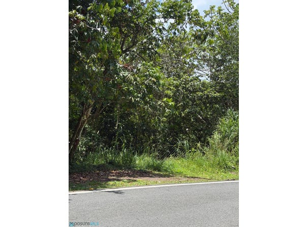 Cedro Abajo, Naranjito, PR 00783
