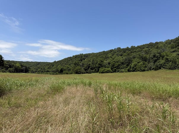 Northfork Village St. Lot 1, Tecumseh, MO 65760