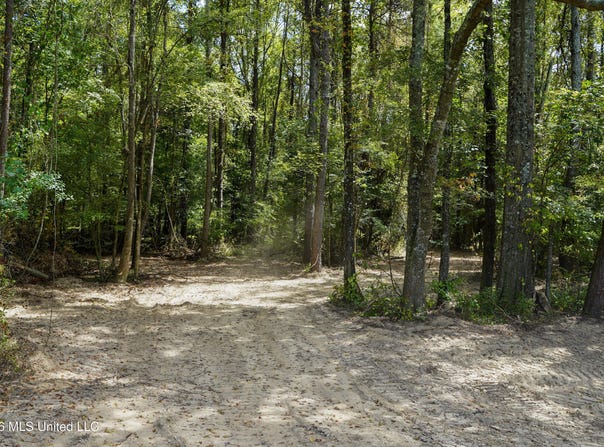 Mcintyre Road, Brandon, MS 39042