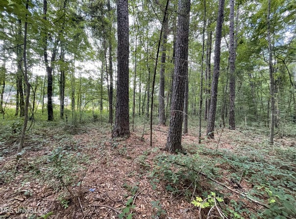 Eastside Drive, Newton, MS 39345