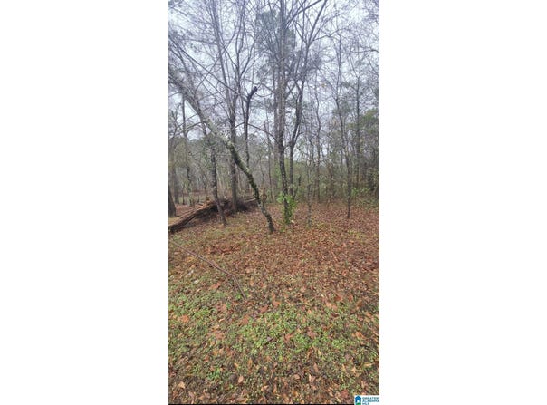 511 LAKEVIEW CIRCLE lot: 0, HARPERSVILLE, AL 35078