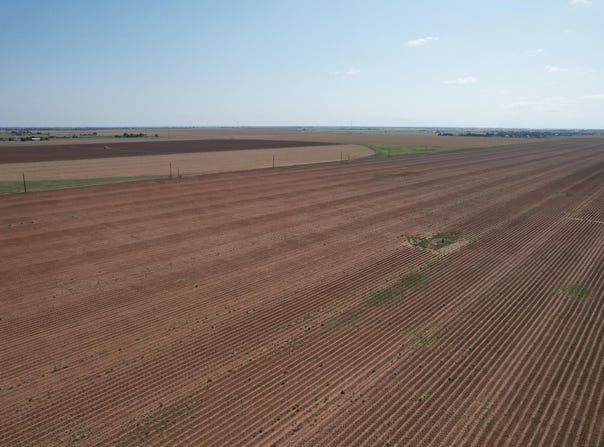 Owl Rd, Smyer, TX 79367