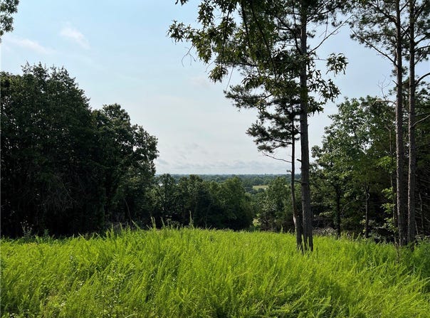N Center Loop lot: 0, Harrison, AR 72601