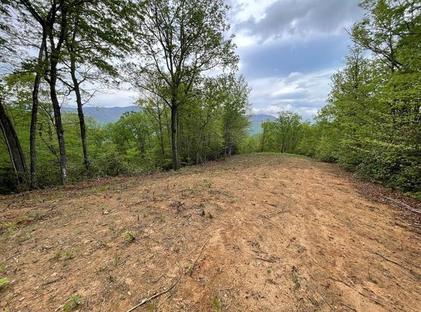 Copperhead Cove lot: 7, Sylva, NC 28779