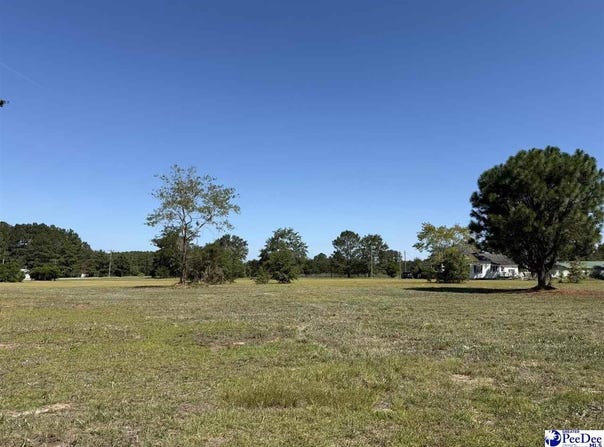 Isaiah Drive lot: 2, Dillon, SC 29536