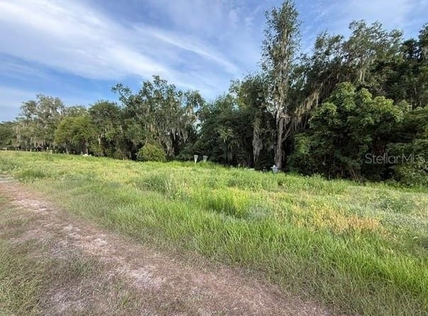 POOL BRANCH Road, FORT MEADE, FL 33841