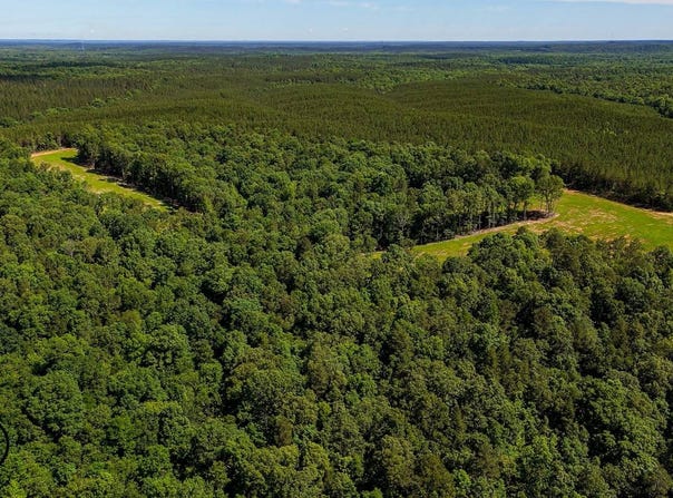 7100 Wolf Pen Rd, Pocahontas, TN 38061
