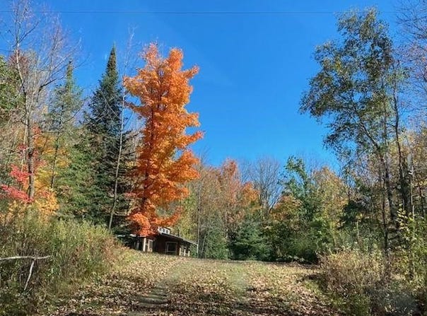 COUNTY ROAD K, Irma, WI 54442