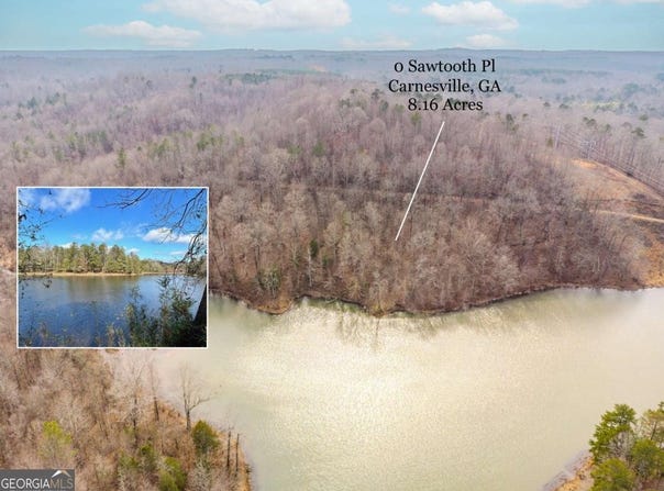 Sawtooth Place, Carnesville, GA 30521