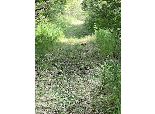 30th Avenue, Remus, MI 49340