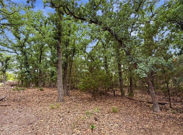 PR 42101 lot: 97, Evant, TX 76566