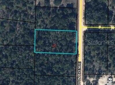 CANYON Avenue, ALFORD, FL 32420