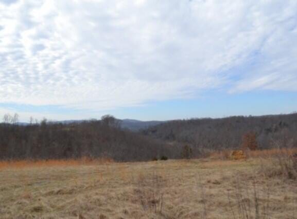 129 Rushing Springs Rd, Monterey, TN 38574