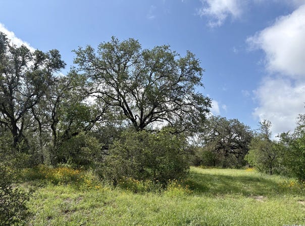 165 SANCTUARY LN, Von Ormy, TX 78073