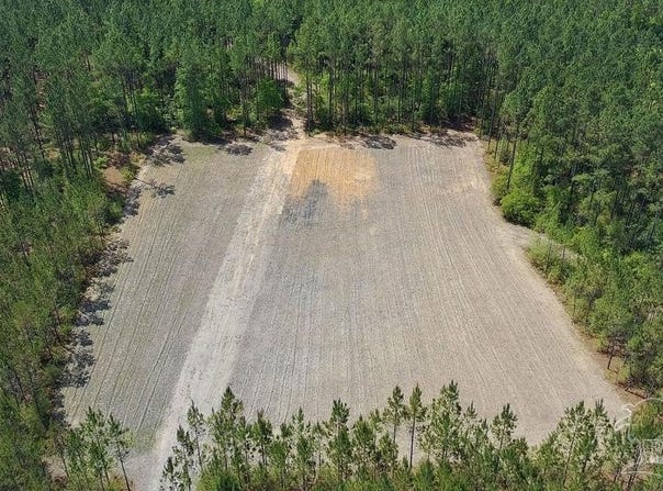 11.42 Acres Edge Forest Way, Pace, FL 32571