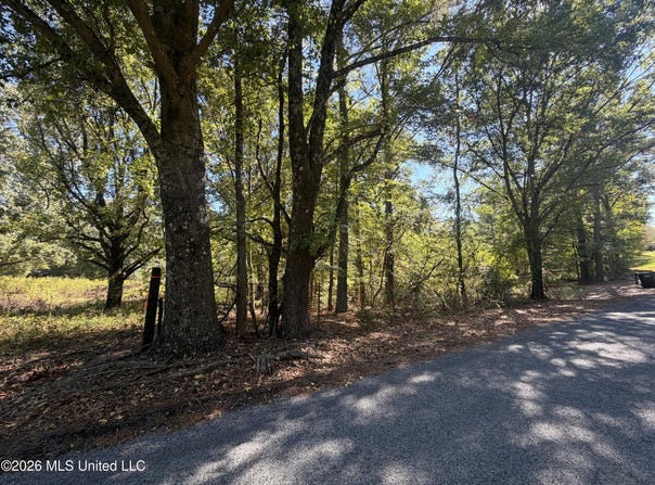 Brownlee Road, Senatobia, MS 38668