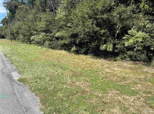 Carlyn Dr, Pace, FL 32571