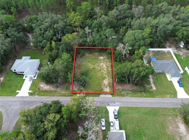 106 GUAVA Pass, OCKLAWAHA, FL 32179