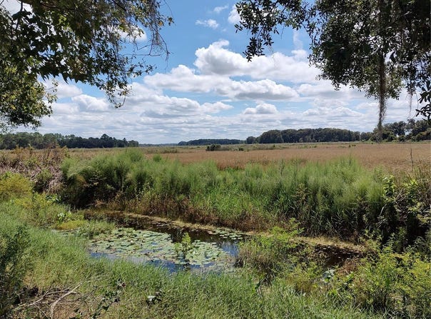 6090 N BAYFRONT Drive, HERNANDO, FL 34442