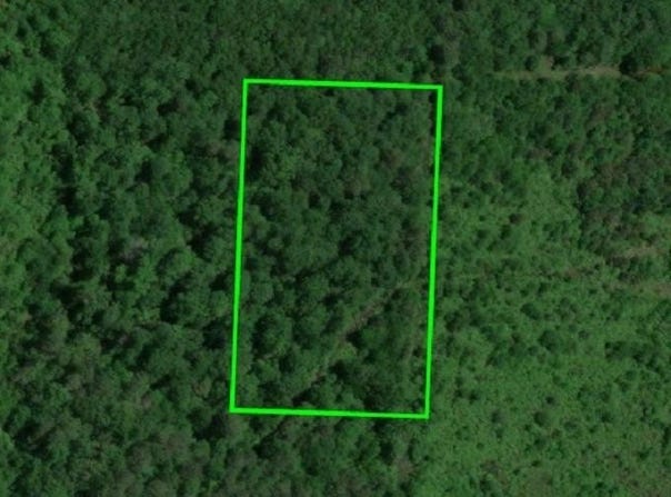5 acres Hwy 29, Bradley, AR 71826