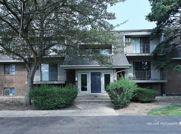 224 E Bailey Road, Naperville, IL 60565