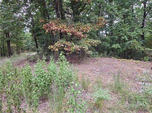 7203 Marion County 6061, Flippin, AR 72634