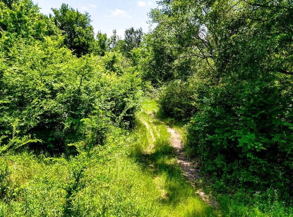 Tract 2 Rural McCurtain, Glover, OK 74737