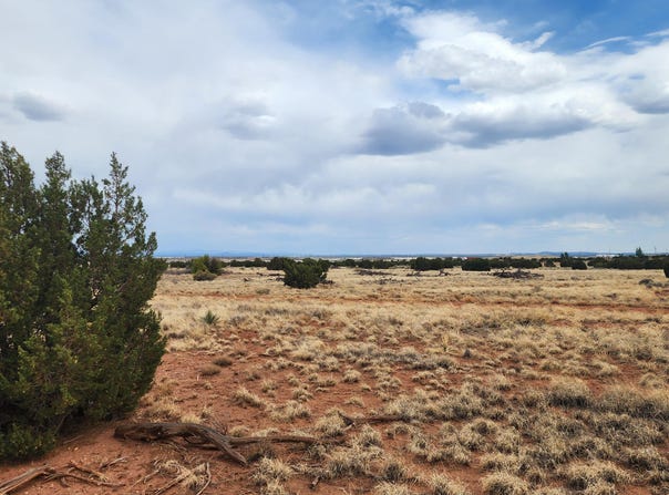 5506 Glasgow Drive, Snowflake, AZ 85937