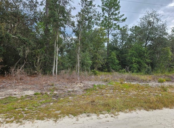 NE 67TH Street, BRONSON, FL 32621