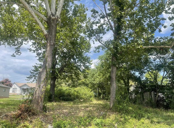 906 Elm Avenue, Mena, AR 71953
