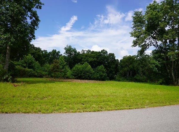 1 Peachers Lane, INDIAN MOUND, TN 37079
