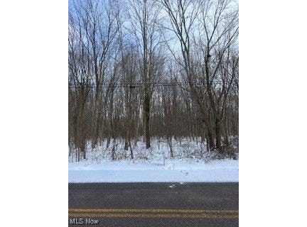 Walter Main Road, Geneva, OH 44041