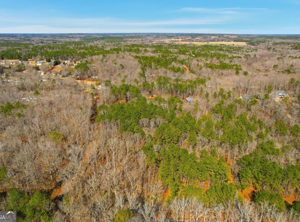 Pickett Bridge Road, Covington, GA 30016