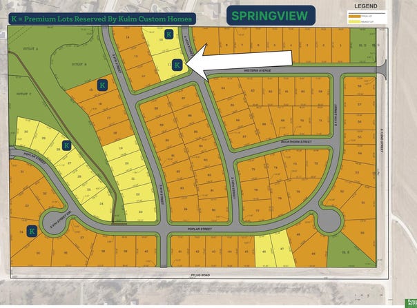 Street, Springfield, NE 68059-0000