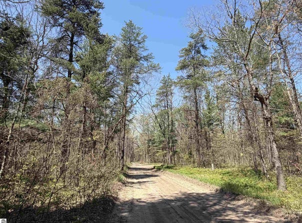 E GLADYS LANE, IDLEWILD, MI 49642