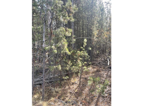 17135 Merced Road, Bend, OR 97707